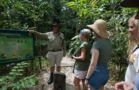 Cairns Ticket Daintree e Cape Tribulation Excursão de dia inteiro