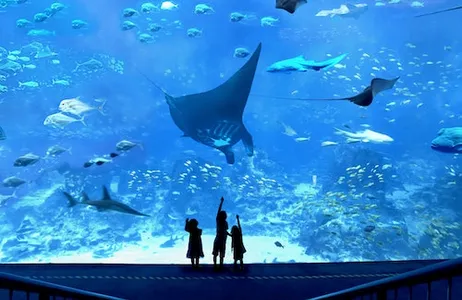 Singapur Ticket Singapore Oceanarium: Entry + Hotel Pickup