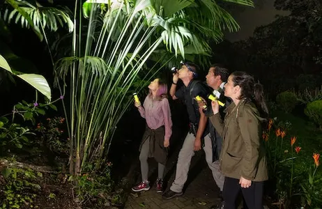 La Fortuna Ticket Caminhada Noturna Mística