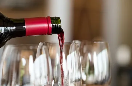 Bordeaux Ticket Médoc: Excursão de vinho de dia inteiro saindo de Bordeaux