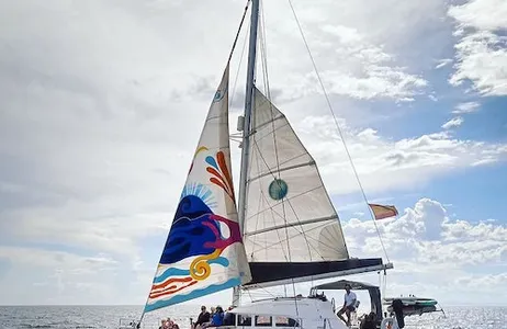 Marbella Ticket Catamaran Excursion Marbella