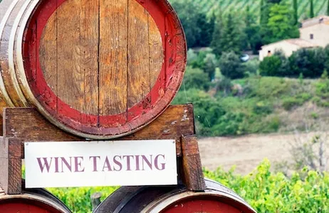 Siena Ticket Chianti Vineyard e Castle Tour com degustação de vinhos