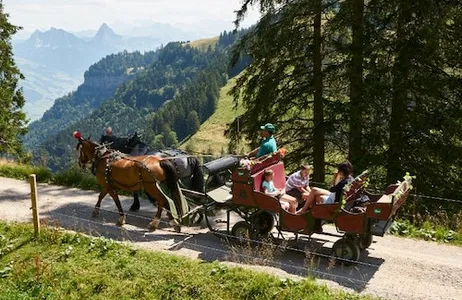 Arth Ticket Ferrovias do Monte Rigi: passe diário e banhos minerais
