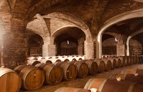 Santiago Tour Viñedo Santa Rita