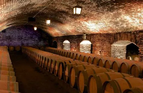 Santiago Tour Viñedo Concha y Toro - Tour Marqués Casa Concha