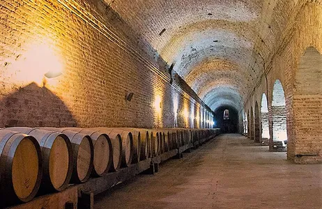 Santiago Tour Viñedo Cousiño Macul