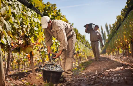 Mendoza Tour Visita às vinícolas em Mendoza