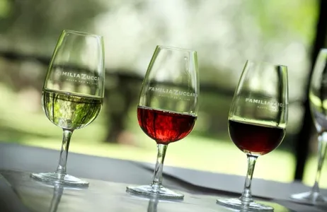 Mendoza Tour Bodega Zuccardi com almoço saindo de Mendoza