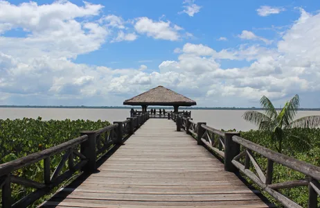 Belém Tour Recorrido ecológico por la ciudad desde Belém