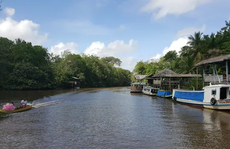Belém Tour Visita la isla Combu 