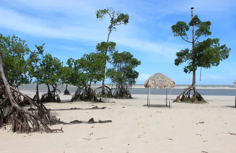 Belém Tour Isla de Marajó - Sol y Playa
