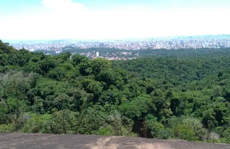São Paulo Tour Experiencia Ecológica Cantareira 