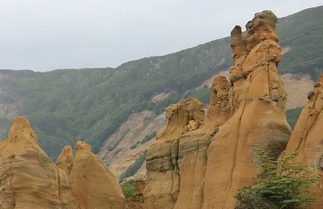 Punta Arenas Tour Reserva Nacional Magalhães