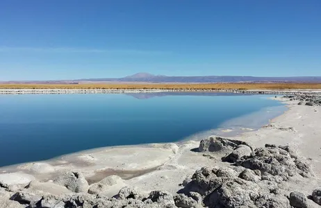 El Loa Tour Lagunas de Cejar y Tebinquinche 