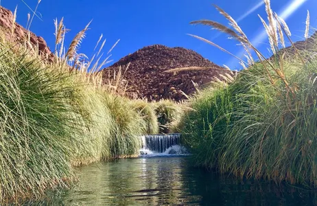 El Loa Tour Aguas termales de Puritana