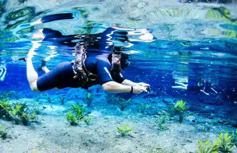 Bonito Tour Diving at the Natural Aquarium in Bonito with transportation included.