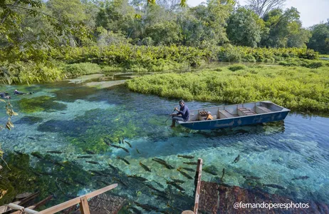 Bonito Tour Boat trip and hike to the source of the Sucuri River with transportation included - contemplation.