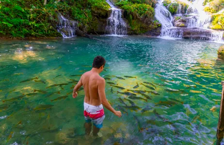 Bonito Tour Waterfalls on the Rio do Peixe River without transportation - waterfalls