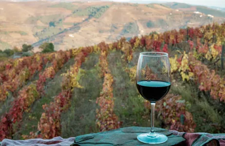 Porto Tour Tour Douro Histórico com almoço saindo de Porto 