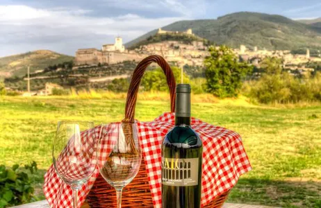 Itália Tour Degustação de vinhos e piquenique na vinícola de Assis