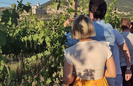 Itália Tour Almoço em Assisi com degustação e caminhada em vinícola 