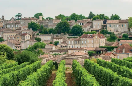 Bordeaux Tour Saint-Émilion Vineyards with Wine Tasting and Lunch