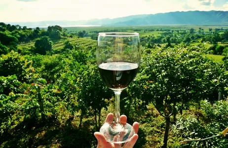 Bordeaux Tour Descobrindo o vinho de Boudeaux 