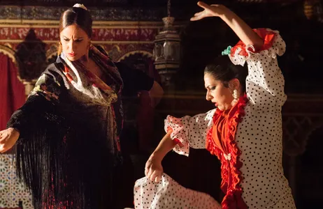 Madri Tour Private combo: Transfer IN + OUT + Flamenco show with 01 drink