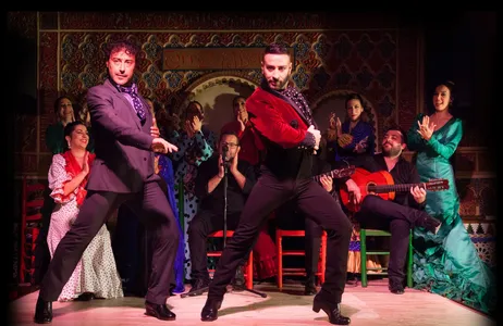 Madri Tour Flamenco show at Torres Bermejas + tapas menu 