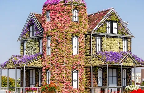 Dubai Ticket Dubai Miracle Garden: Ingresso de entrada