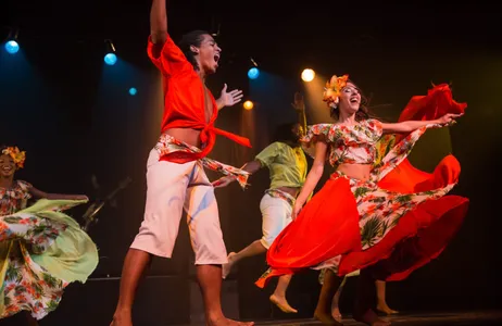 Rio de Janeiro Tour Rio de Janeiro by night: Show de Samba e Folclore ginga tropical