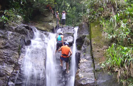 Rio de Janeiro Tour Rappel en la Cascada de Horto con paseo por el Parque Nacional de Tijuca