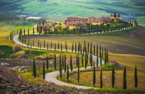 Siena Tour Passeio pela vinícola Brunello saindo de Siena