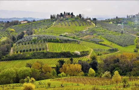 Siena Tour Tour por Chianti e seus Castelos 