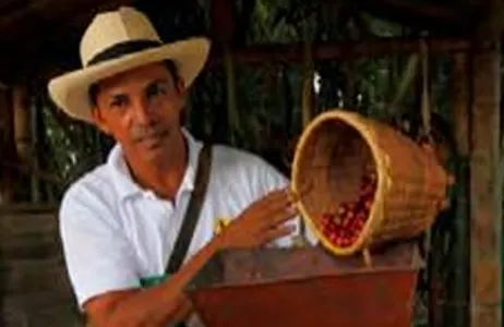 Medellin Tour Visita a uma fazenda de café em Antioquia 