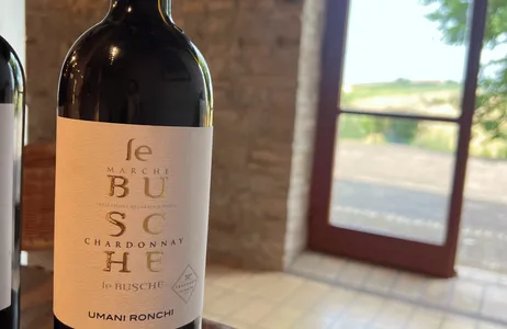 Provincia di Ancona Tour Visita a una bodega con guía local.