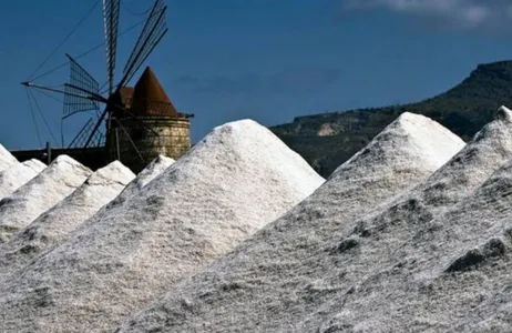 Trapani Tour Passeio de barco e degustação na Lagoa de Sal de Marsala em Trapani