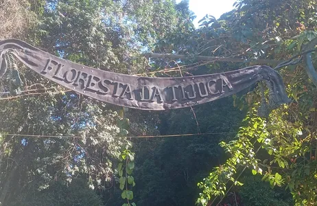 Rio de Janeiro Tour Tour pela Floresta de Tijuca com guia local
