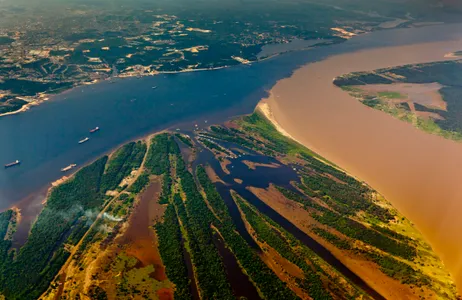 Manaus Tour Amazon Safari Tour 