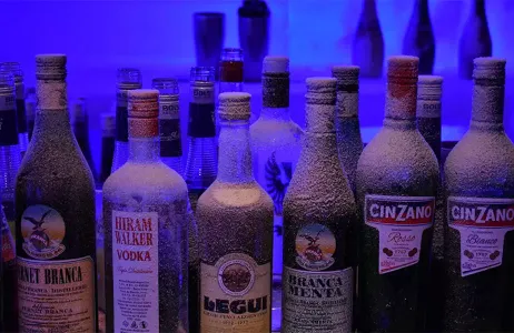 Iguazú Tour Excursão ao Icebar + Translados 