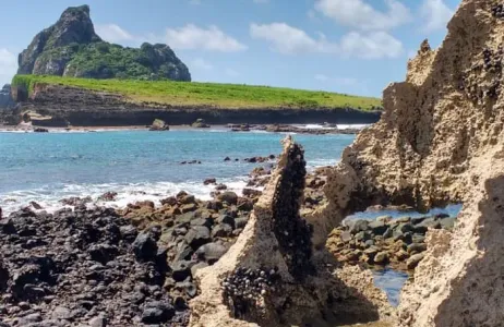 Fernando de Noronha Tour Trilha Morro São José