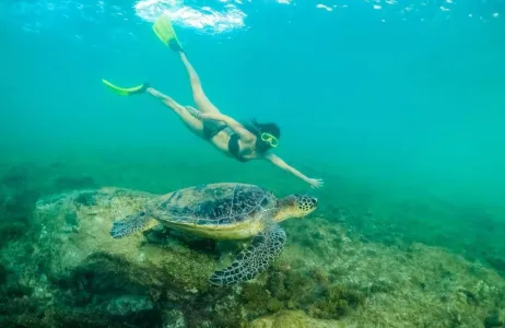 Fernando de Noronha Tour Trilha Aquática 