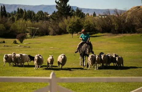 El Calafate Tour  25 de Maio - Tarde de campo - sem Cena Show
