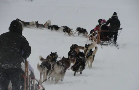 Ushuaia Tour Dia inteiro na neve - com trenó   