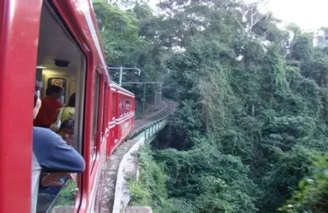 Rio de Janeiro Tour Tour de Trem pelo Corcovado com Almoço, Visita ao Aquário e Café da Tarde na Confeitaria Colombo