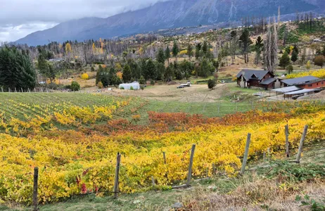 San Carlos de Bariloche Tour El Bolsón Gourmet: Harmonização de Vinhos Patagônicos