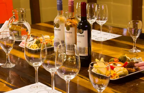 Buenos Aires Tour Combo: Degustação de Vinhos com Tapas + Bilhete de Ônibus de 48 horas