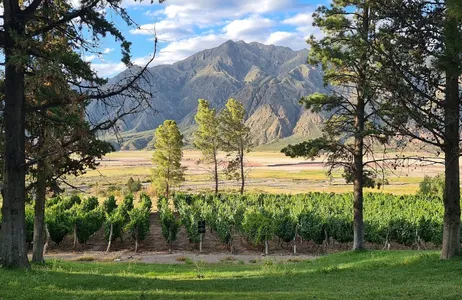 Mendoza Tour Descubra a essência do Vale do Uco: uma experiência única entre Vinho, Cultura e História