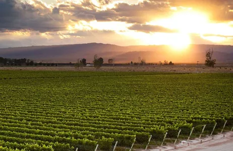 Mendoza Tour Sabores e Paisagens de Mendoza: Rota do Vinho e do Azeite