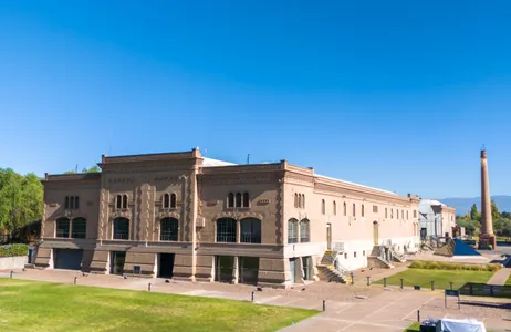 Mendoza Tour Vinhos icônicos de Mendoza: degustação na Bodega Trapiche e almoço no El Enemigo
